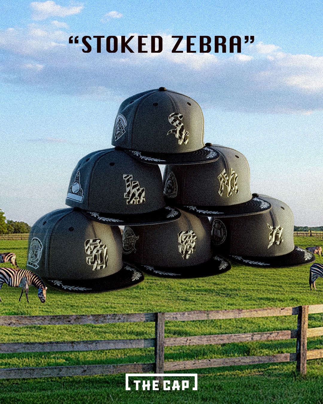 STOKED ZEBRA」「JAZZ HORSE」「Classic Laurel」 |イーアス沖縄豊崎